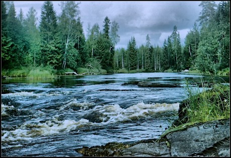 Архангельская область. Многочисленные реки богаты рыбой, которую ловят как люди, так и звери.