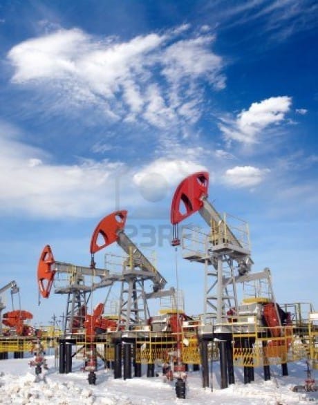 В Архангельской области добывают следующие полезные ископаемые: нефть.