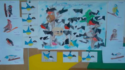 Фотоотчет: мероприятие для дошкольников 6-7 лет «Покормите птиц зимой!»